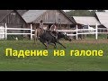 Падение с лошадью на галопе. Спасает баланс!