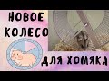 Новое колесо для хомяка | Джунгарский хомяк | Хомяки