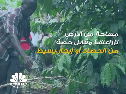 في أوغندا يحصل اللاجئون على أراض لزراعتها وبناء لهم مقابل أجر بسيط