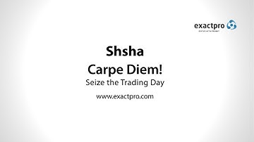 Exactpro Systems Passive Testing Tool: Shsha