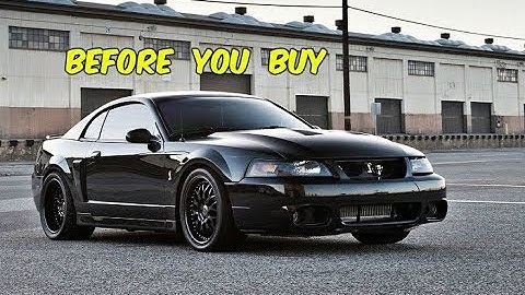 Watch This BEFORE You Buy an SVT Terminator Cobra!