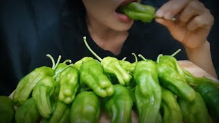 ASMR EATING CRUNCHY HOT PADRON PEPPER|PIMIENTO DE PODRÓN PICANTE*NO TALKING| EATING SOUND