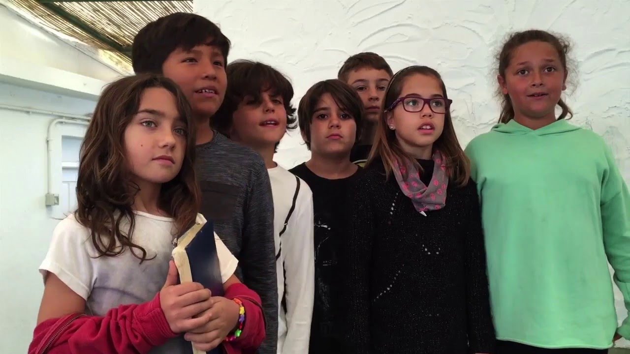 El árbol de la vida