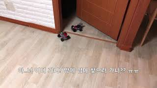 서율의 크러쉬 배틀카 대결!!!! 참혹한 결과ㅠㅠ