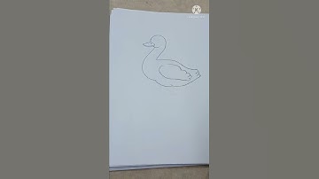 Duck 🦆🦆 Drawing #shorts #shortvideo #viralvideo