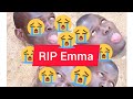 Emmas dead body at the lake prank omulambo ku mazzi