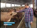 Экскурсия на ферму Вкуснотеево