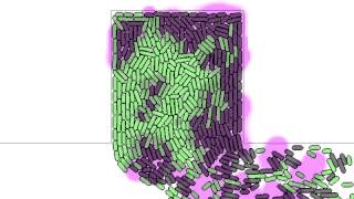 Coupled Oscillations in a Chemostat
