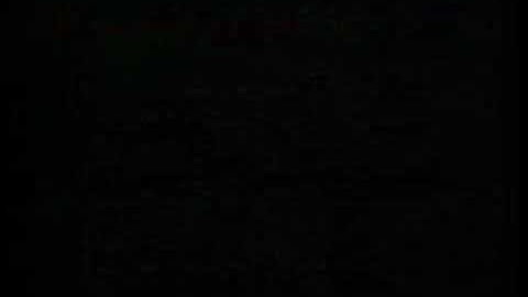 Opening to Barney Sing That Song? 2005 VHS