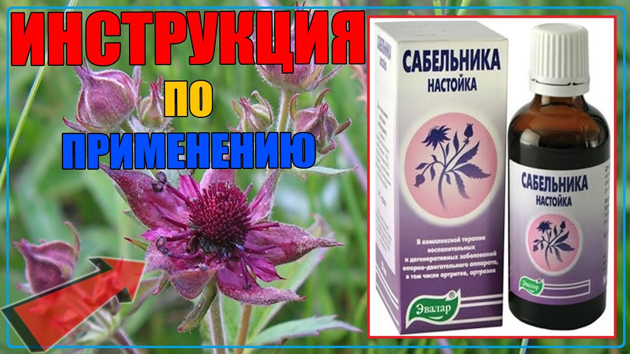 Сабельник Цена Применение