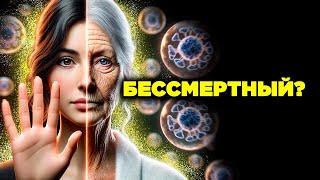 видео: 5 веществ, которые ОСТАНАВЛИВАЮТ СТАРЕНИЕ картинка: 5 веществ, которые ОСТАНАВЛИВАЮТ СТАРЕНИЕ