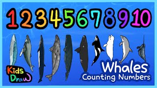 Whales & Dolphins | Count numbers from 1 to 10 | Kids Draw