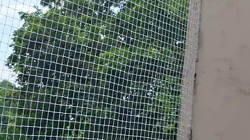 Bird net installation Delhi gurgaon noida faridabad call 8800948180