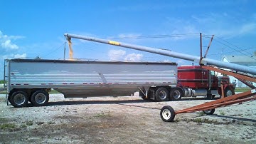 loading corn out from grain bin