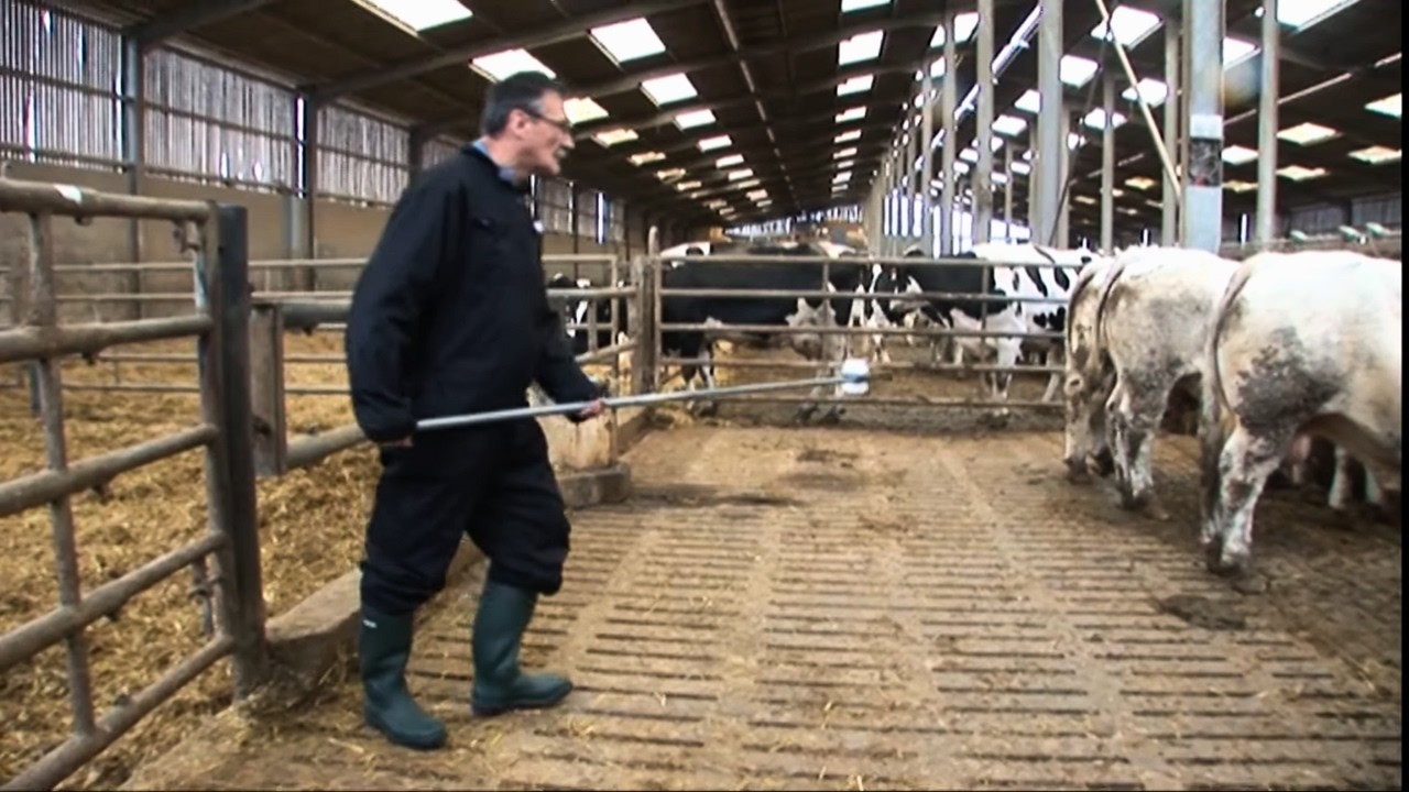 Viande | Élevage sous Hormones , l'enquête CHOC !