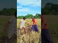 কানা যখন ঘাস কা*টে #funnyclip #video #ekmotahathighumechala #tiktok #youtubeshorts