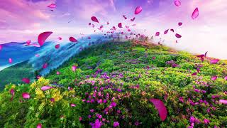 Beautiful spring man mountain flowers floating flying wedding party performance background