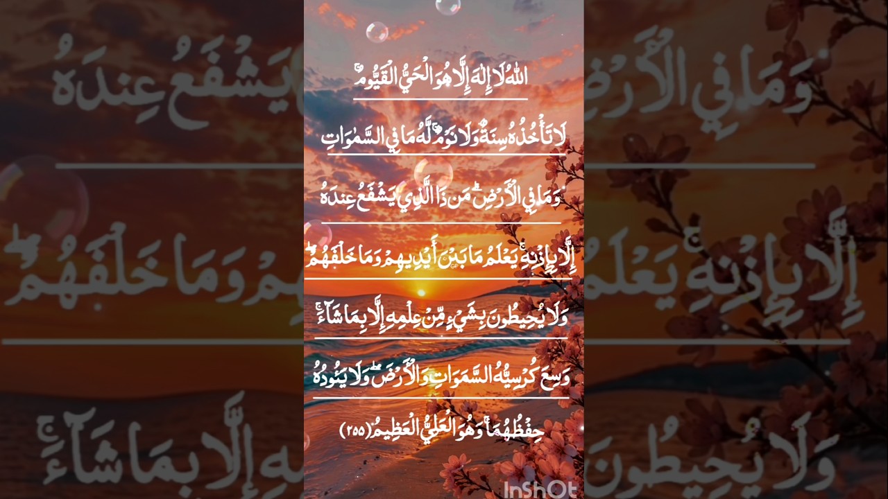Beautiful Arabic Recitation 🤍 AYATUL KURSI ✨ Beautiful Quran 🌙#ayatulkursi #shorts