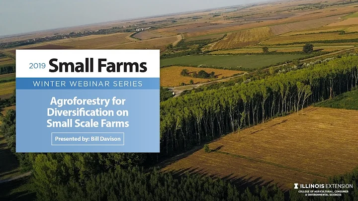 Agroforestry for Diversification on Small Scale Farms
