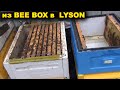 Из BEE BOX  в LYSON. Ульи ППС.