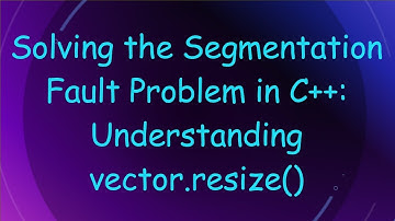 Solving the Segmentation Fault Problem in C+ + : Understanding vector.resize()