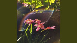 Broken Fireflies