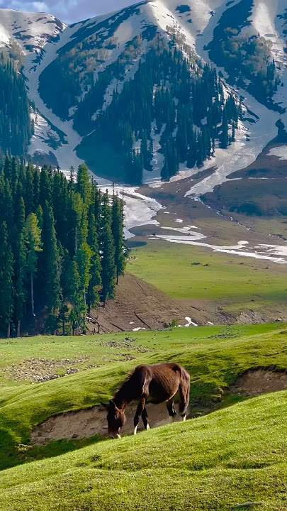 Sapnu ka yein nagar ๐๏ธ๐ #bollywood #song #hindisong #mountains #jannatkashmir #shortsfeed #nature
