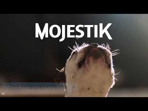 Βίντεο: Απομυθοποίηση της ετικέτας για τα τρόφιμα σκυλιών