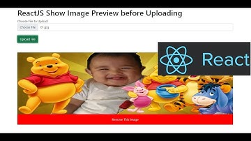 ReactJS Show Image Preview before Uploading