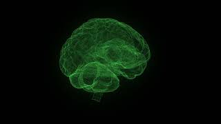 Green Sci Fi Hud Human Brain Loop Video | Free Video Backgrounds | MD Animated Background