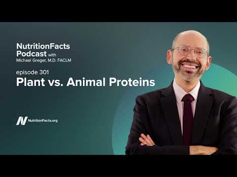 Video: Kan der findes protein i både dyr og grøntsager?