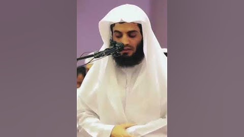 تلاوة هادئة بصوت القارئ رعد الكردي 😴🤍        #قرآن #رعد_الكردي #quran #تلاوة_خاشعة