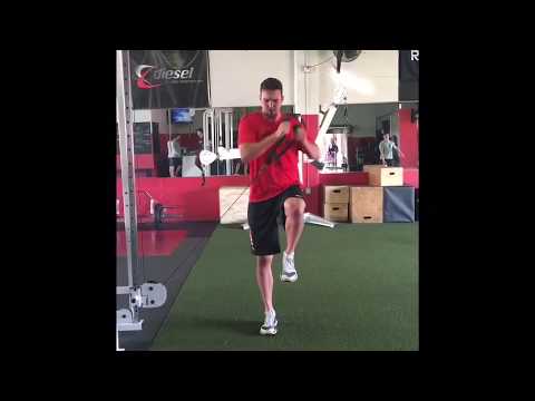 diesel-fitness-compilation-1