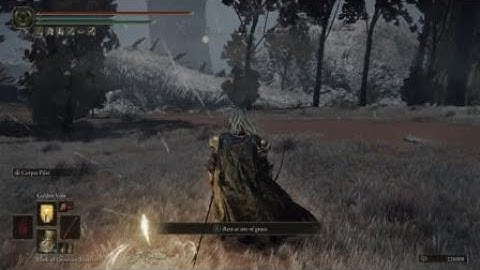 EARLY GAME RUNE FARM!! ELDEN RING! After Patch 1.04!!