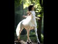 She Walks Between Worlds #angel #viral