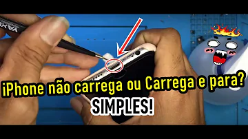 Porque o iPhone não aceita cabo paralelo?