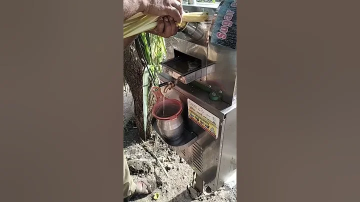 Automatic sugar cane juice machine