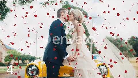 Rose Petals | Motion Graphics - Envato elements