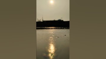 morning sunrise #status #music #trending #nature #sunrise #sunrisestatus #viral
