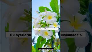 Rahman Suresi Ayet:10-16 Kısa Tefsiri #kurantefsiri #kuranmeali #Allah #quran #islamicshorts #shorts