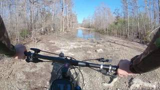Hunting Big Cypress Part 1 Scouting for turkeys