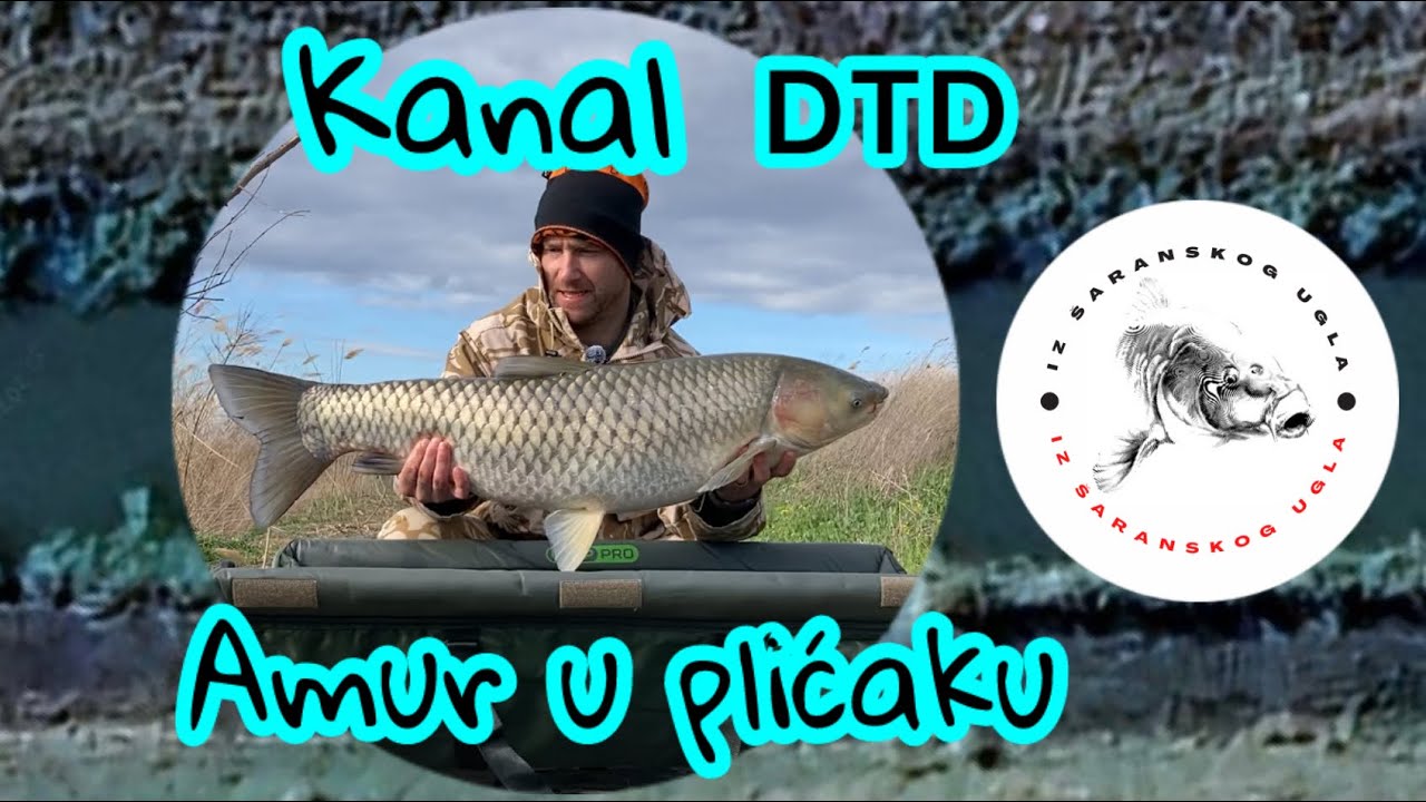 Pecanje AMURA na DTD kanalu | Kraj Marta | 27.03.2024
