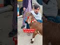 کارگو ٹو کھاریاں #viral #youtubeshorts #unfrezzmyaccount #fyp