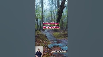 سورة النصر والمسد برواية ورش عن نافع