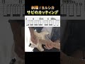 斜陽 / ヨルシカ サビのカッティングギター #shorts