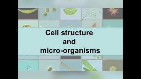 VPVM. 7 standard. General science. 11. cell Structure and Micro- organisms.