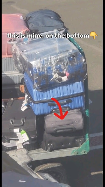 How airport baggage handler keep your baggage 👍