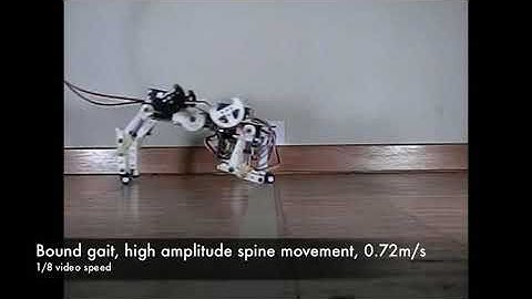 Benefits of an active spine supported bounding locomotion with a small compliant quadruped robot