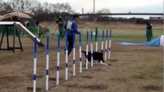 12-24,2012:JKC HIRATSUKA:AG2 TINA