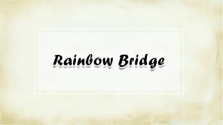 【KITTY x DRAW】Rainbow Bridge ~ 給寵物離開的朋友們 ... 